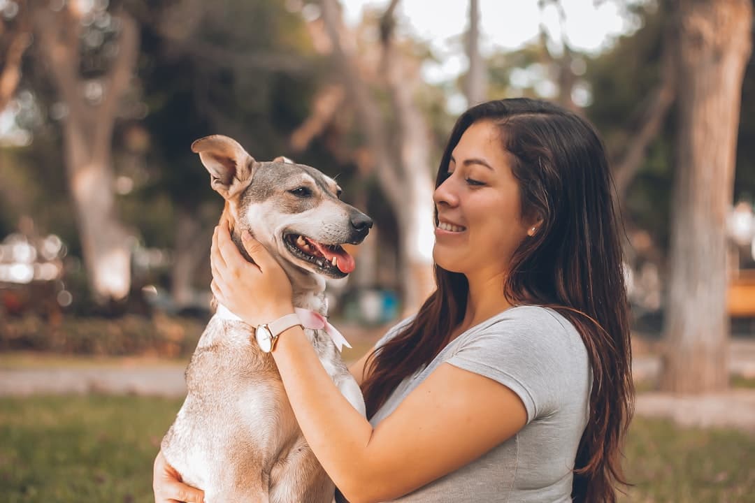 Pet-sitter