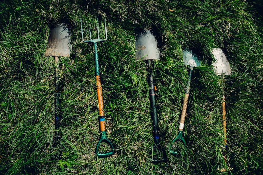 Entretien du jardin
